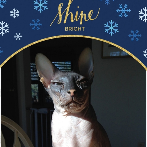 Meet your Posher, Dorothy - Picture 3 of 3